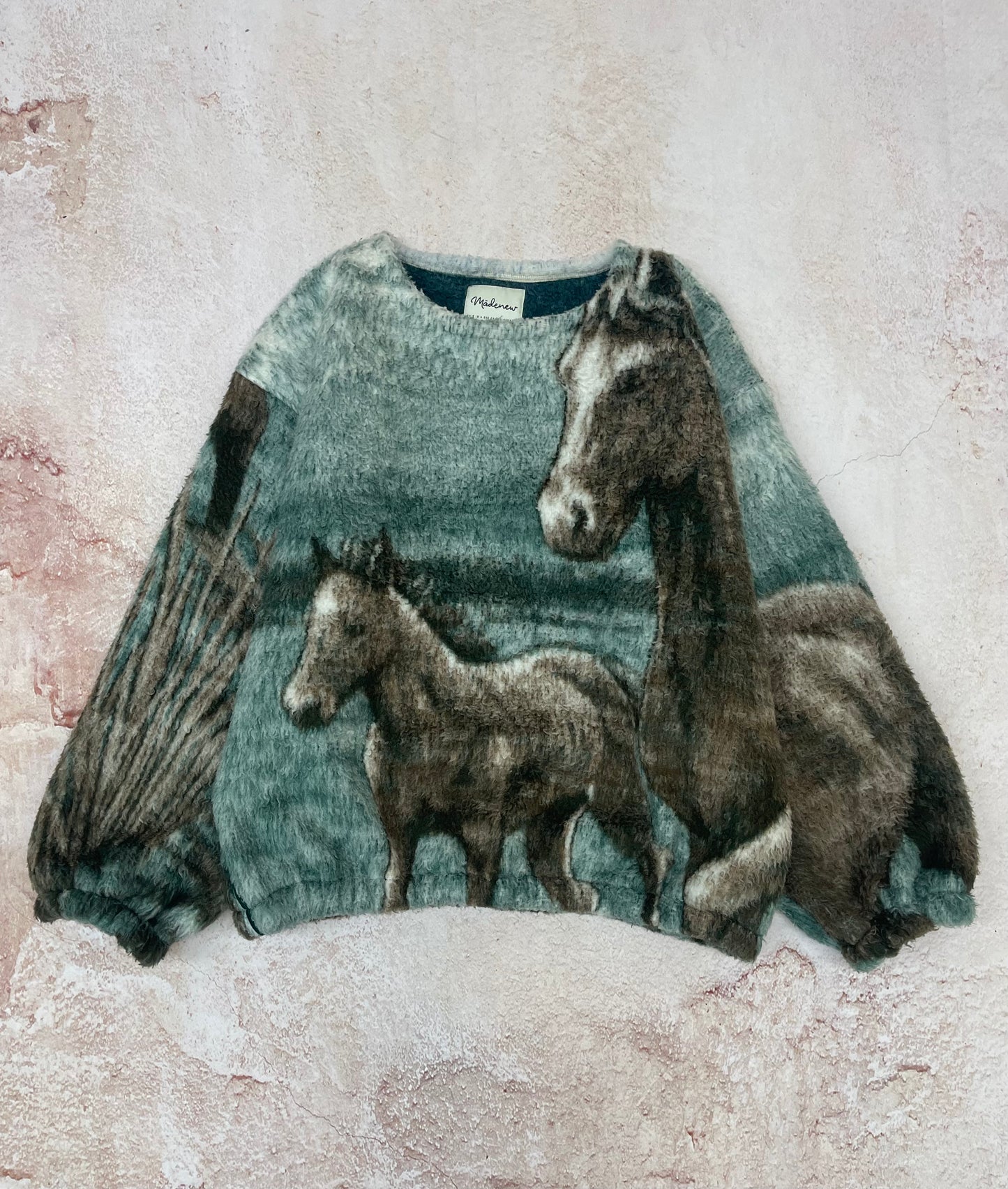 Horses (up to an XL)
