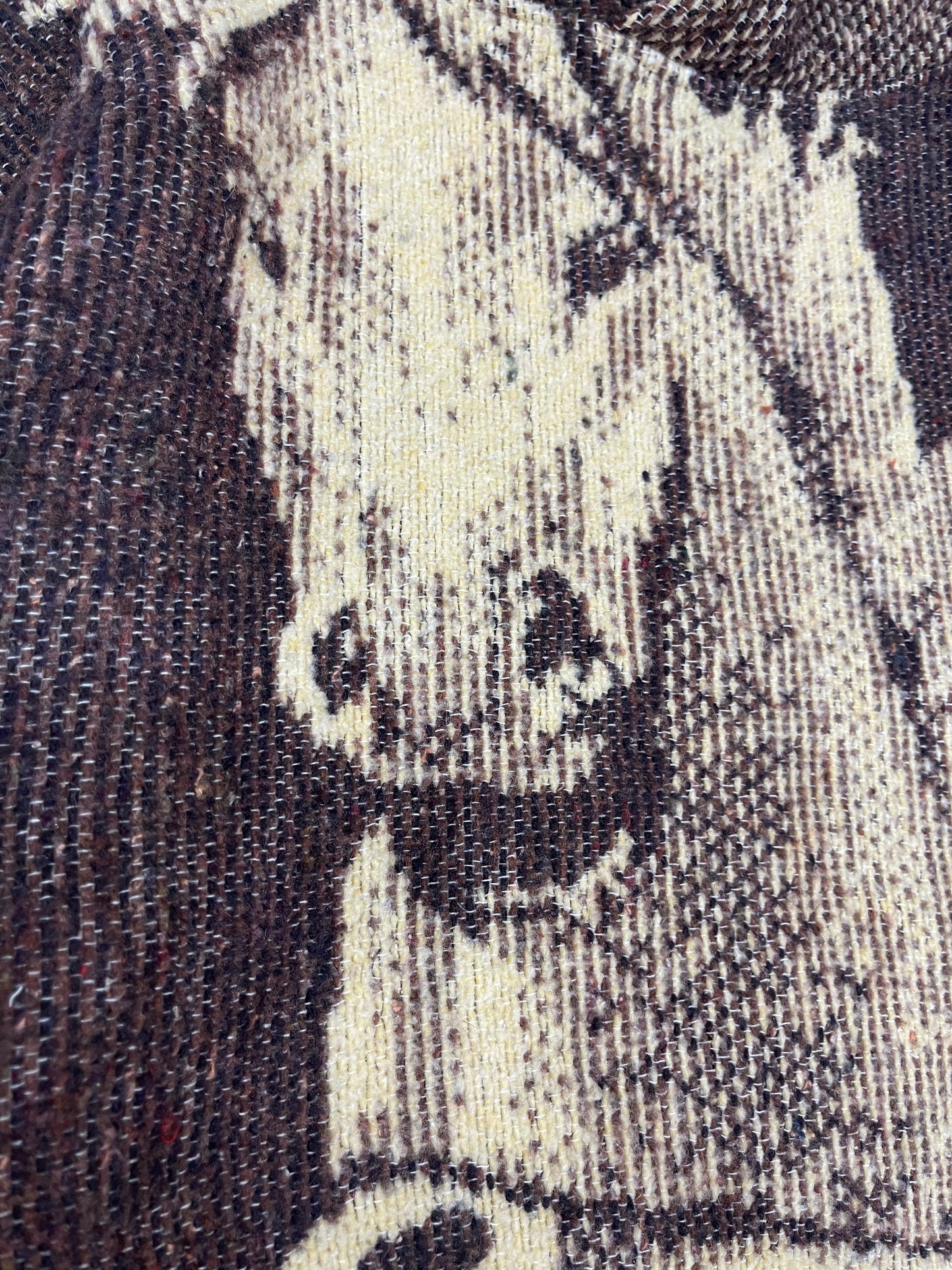 Horse (up to an XL)
